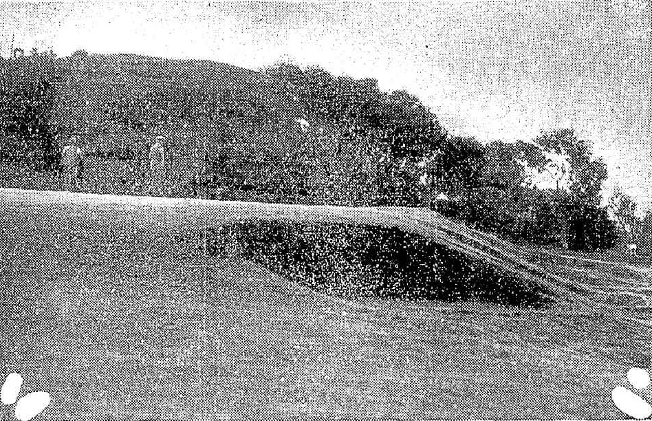Pittwater Online News