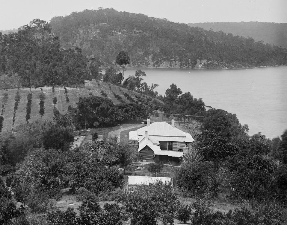 Rocky Point And Elvina Bay Peninsula Summer Houses