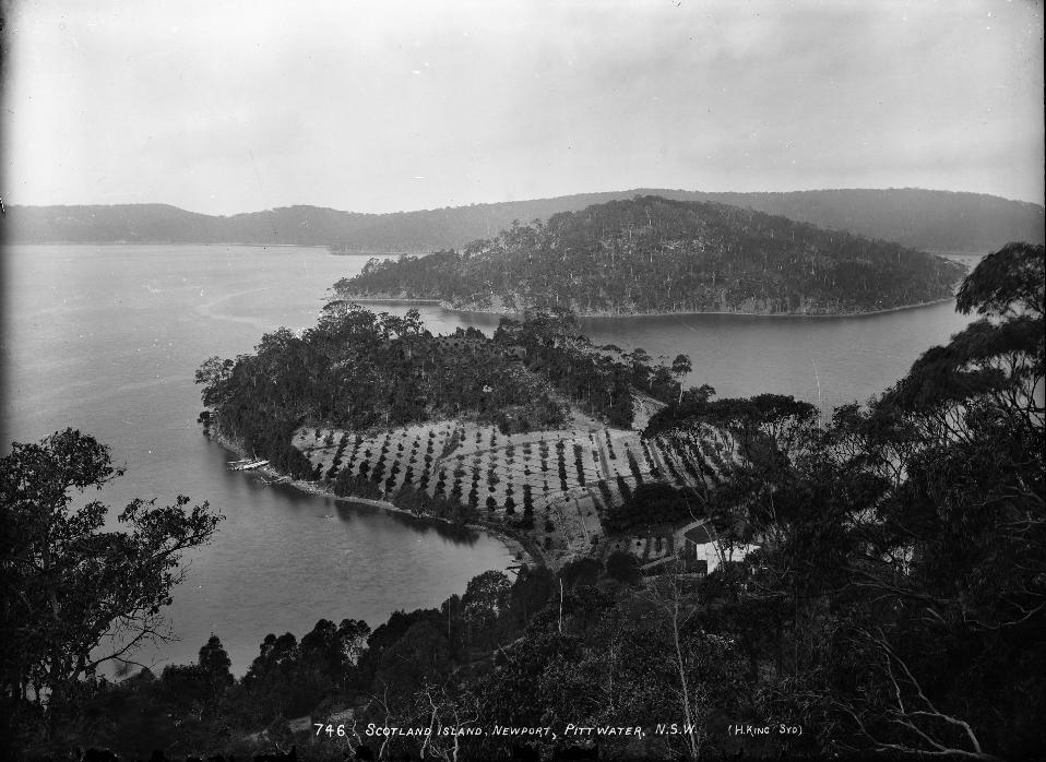 Rocky Point And Elvina Bay Peninsula Summer Houses