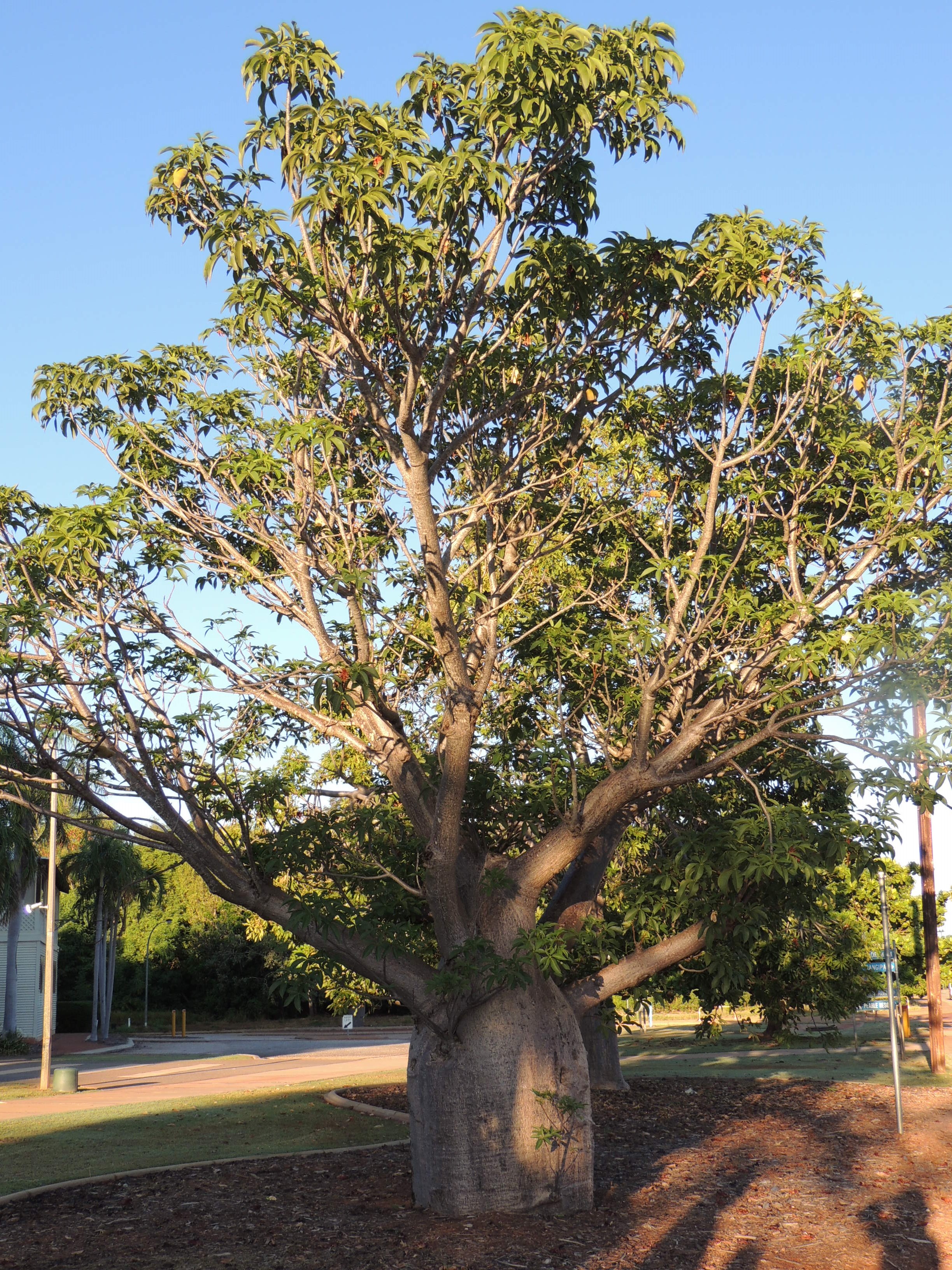 Pittwater Online News