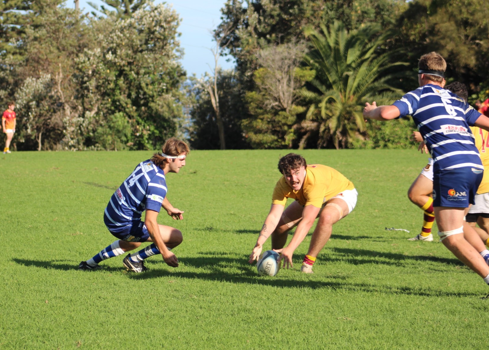 Pittwater Online News