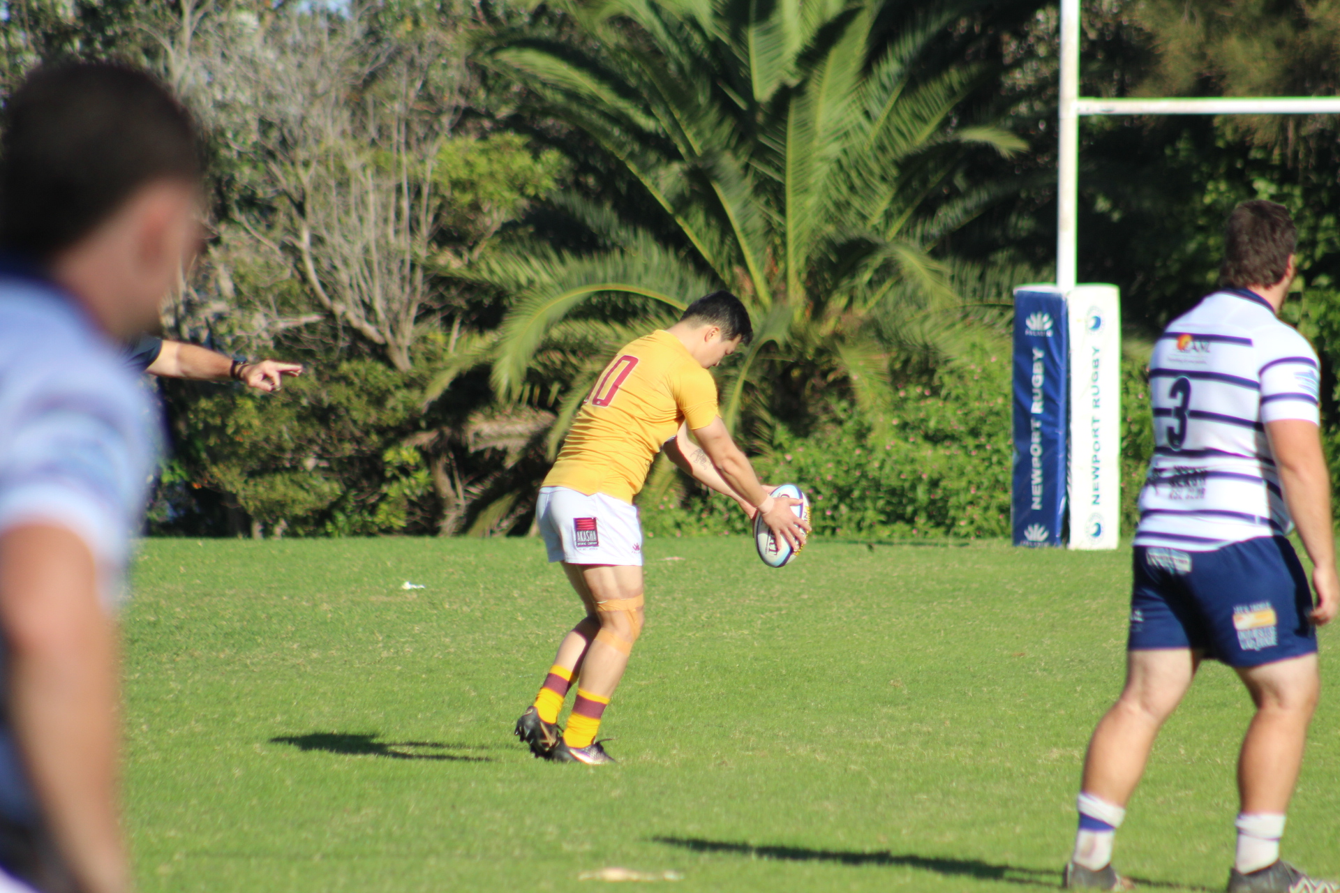 Pittwater Online News