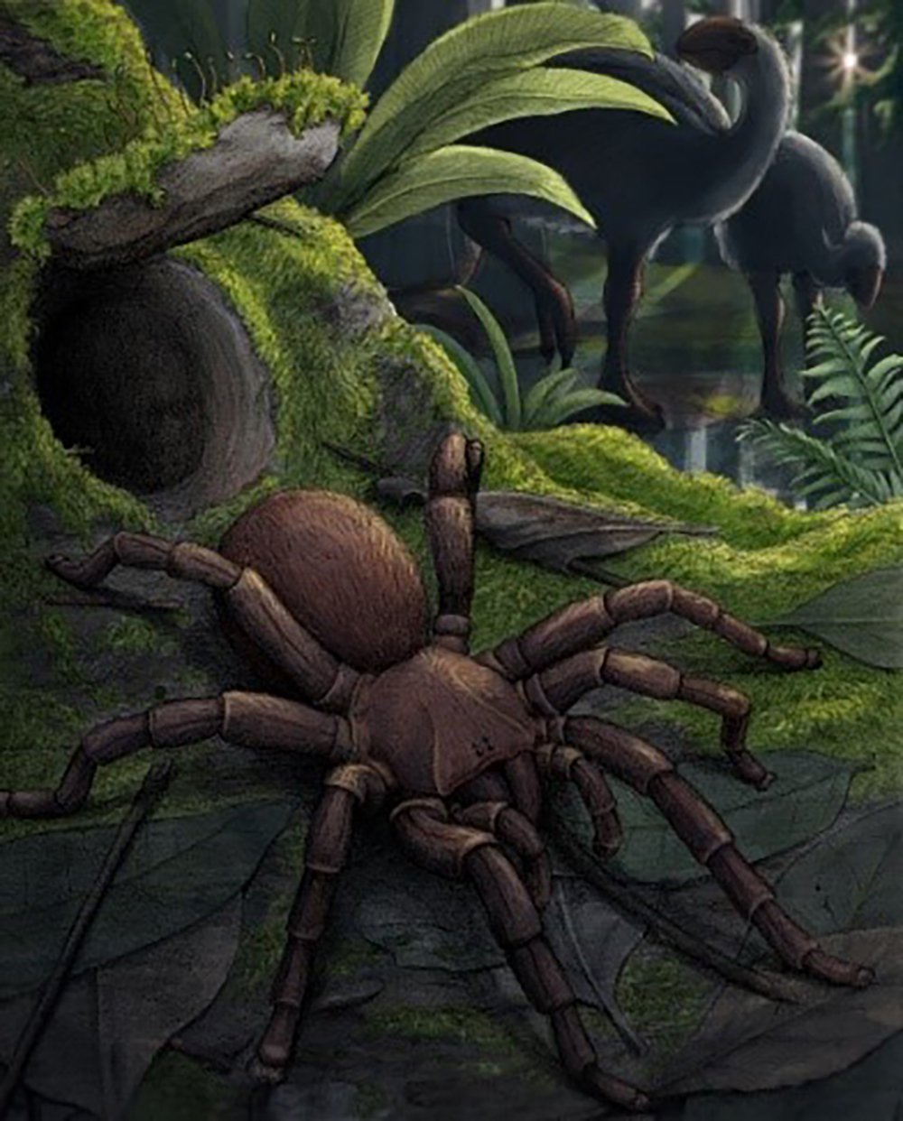 Bubble Spider Stock Photo - Download Image Now - Animal, Animal Markings, Arachnid - iStock
